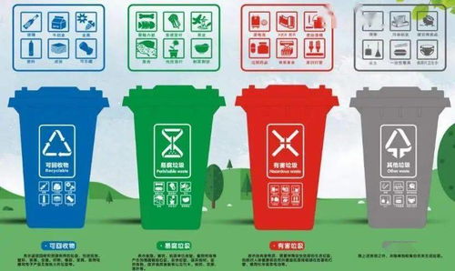 带包装的过期食品 精准分类与城市生活垃圾管理服务